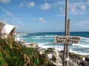 Bar Coconut, Cozumel